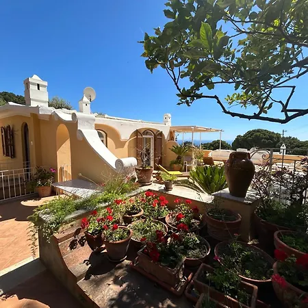 Private Sea View Con Terrazza E Giardino Апартаменты Капри